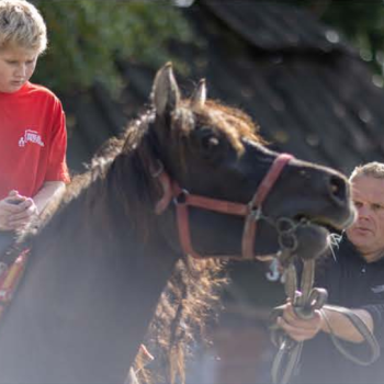 Батько під час кризи – 6 речей, які потрібно зробити, щоб виростити стійку дитину